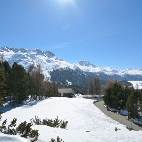 Top of the world - Liegenschaft mit eindrücklicher Weitsicht in St. Moritz-Suvretta