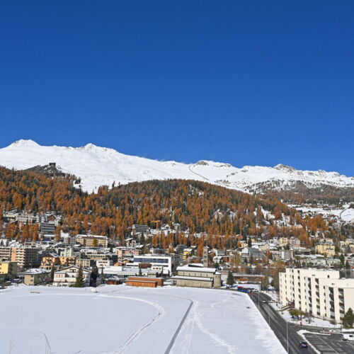 Panoramic 3.5-room flat with direct access to the cross-country ski trail in St. Moritz-Bad